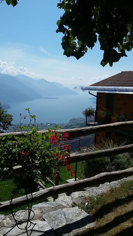 Agriturismo Zertin Граведона Екстер'єр фото